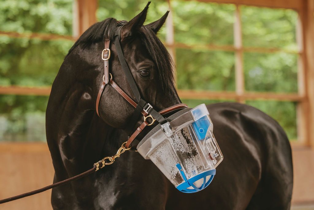 SaHoMa II - Kit de nébulisation pour chevaux