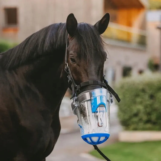 SaHoMa II - Kit de nébulisation pour chevaux